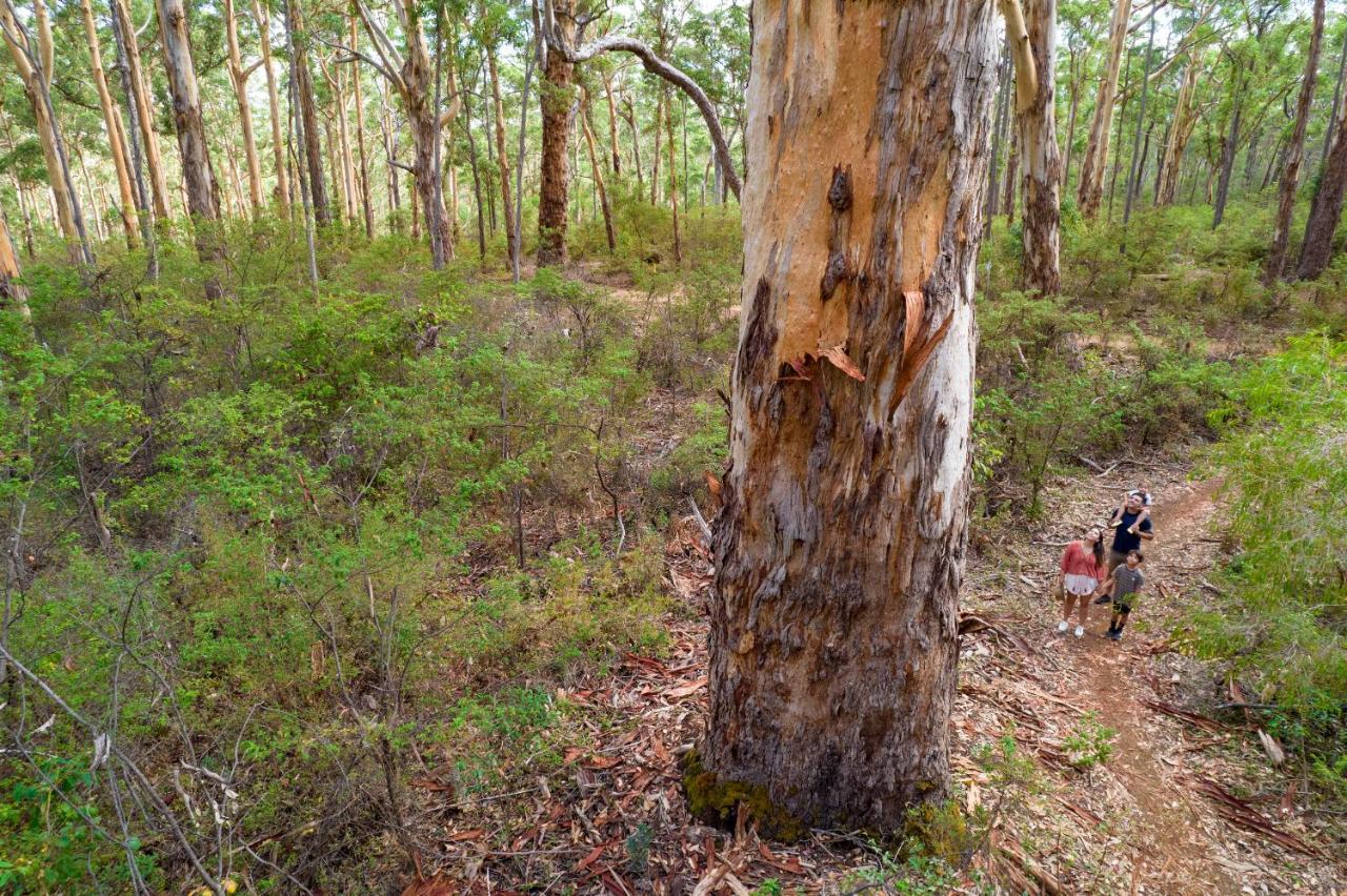 Rac Margaret River Nature Park 외부 사진